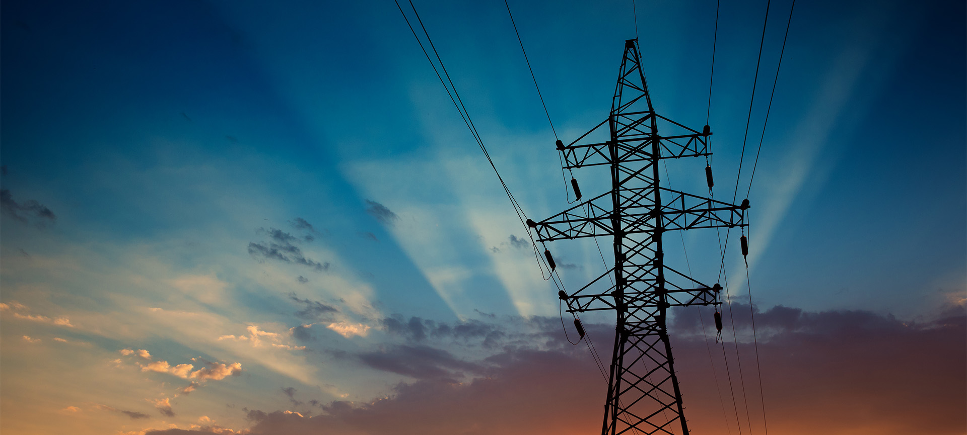 Capacity market & Demand Response Burgo Energia